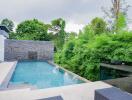 Modern backyard with swimming pool and lush greenery