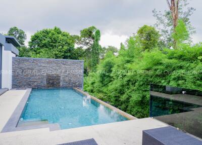 Modern backyard with swimming pool and lush greenery