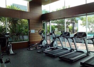 Modern gym with treadmills and exercise bikes overlooking a pool