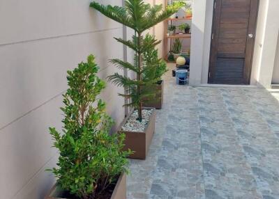 Modern home entrance with decorative plants and tiled walkway