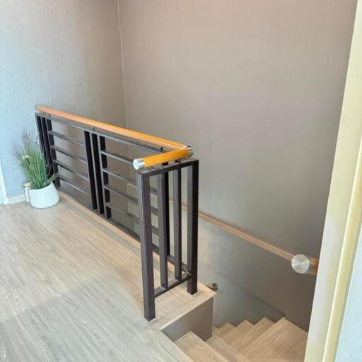 Modern staircase with wooden handrail and metal balusters