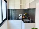 Modern compact kitchen with clean design and equipped with appliances