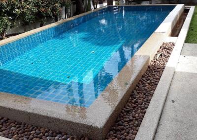 Modern backyard swimming pool with decorative pebbles