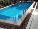 Modern backyard swimming pool with decorative pebbles