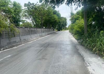 Paved road with surrounding greenery and a concrete fence