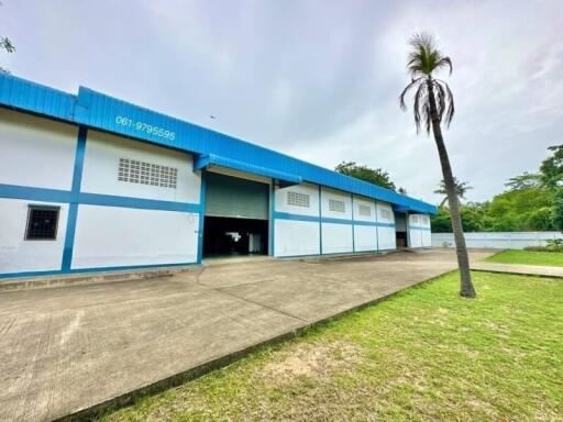 Spacious industrial building exterior with blue and white paint, large roll-up doors, and a palm tree