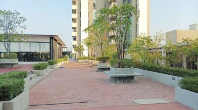 Spacious outdoor common area with seating and greenery between residential buildings