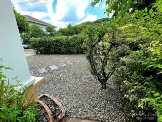 Spacious outdoor area with pebbled walkway and lush greenery