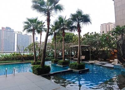 Luxurious outdoor swimming pool with lounge areas surrounded by tall palm trees and modern cityscape