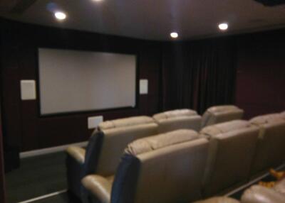 Luxurious home theater with large screen and comfortable seating