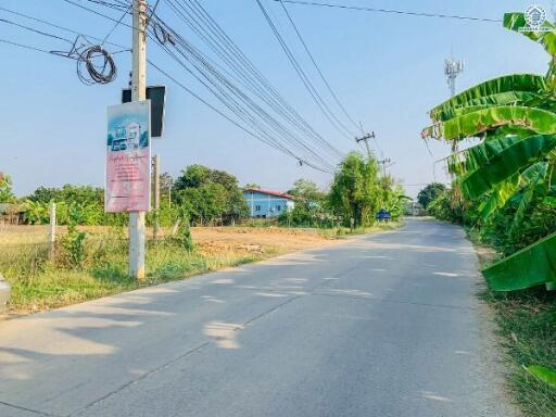 Quiet street view with lush greenery and utility poles