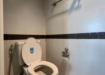Modern bathroom with clean toilet and hand-held bidet sprayer