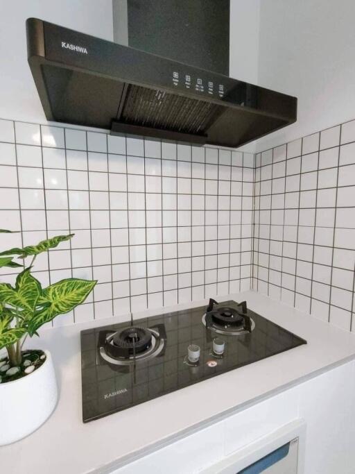 Modern kitchen corner with advanced stove and sleek hood