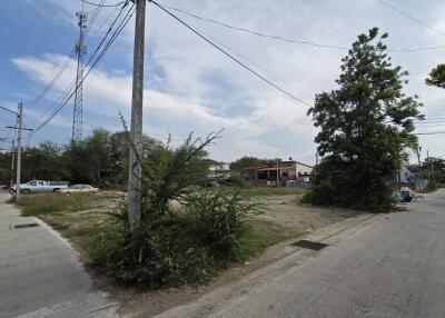 Suburban street view with visible power lines and scattered vegetation