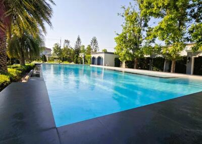 Luxurious backyard swimming pool surrounded by lush gardens and trees