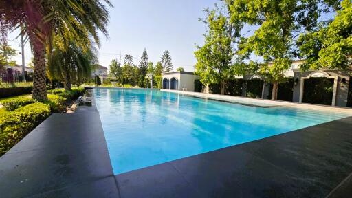 Luxurious backyard swimming pool surrounded by lush gardens and trees