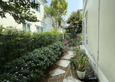 Serene garden path between residential buildings with lush greenery and stepping stones