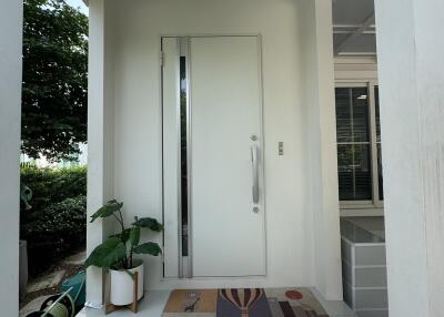 Bright and welcoming home entrance with modern door and potted plant