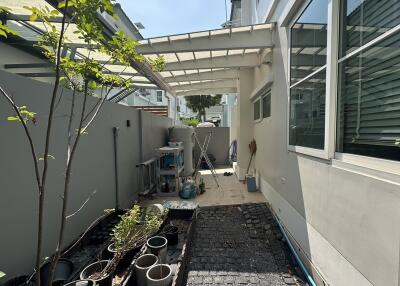 Small paved patio with overhead awning between residential buildings