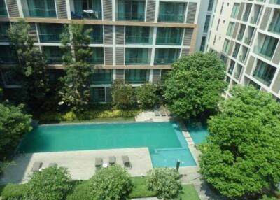 Condo to rent at The Nimmana Chiang Mai