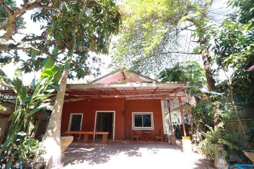Single storey 2 bedroom house to rent at Chang Phueak