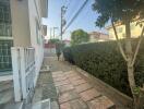 Outdoor side yard with pathway and lush green hedge