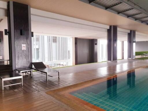 Modern pool area in a residential building with seating accommodations