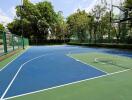 Well-maintained outdoor basketball court with vibrant blue flooring and surrounded by green trees