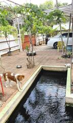 Spacious outdoor area with a pond and car parking