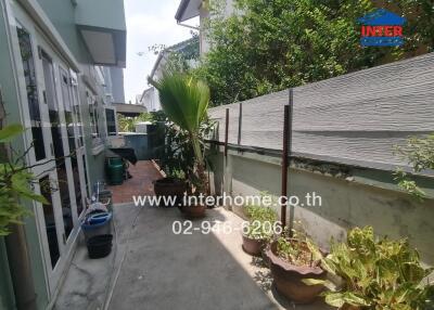 Spacious outdoor area with green plants and privacy fencing