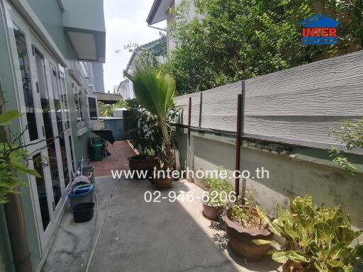 Spacious outdoor area with green plants and privacy fencing