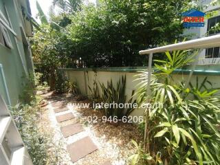 Tropical garden pathway beside a house