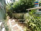 Tropical garden pathway beside a house