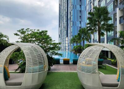 Luxurious pool area with modern woven cocoon chairs and urban high-rise backdrop