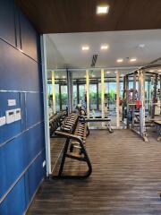 Well-equipped gym with dumbbells and exercise machines