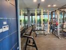 Well-equipped gym with dumbbells and exercise machines