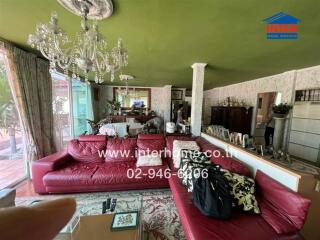 Spacious and ornately decorated living room with red leather sofas and green walls