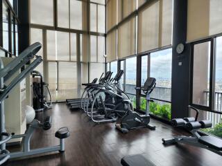 Modern residential gym with expansive windows and city views