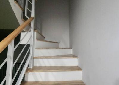 Modern staircase with wooden steps and white balustrade