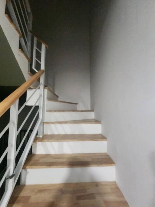 Modern staircase with wooden steps and white balustrade