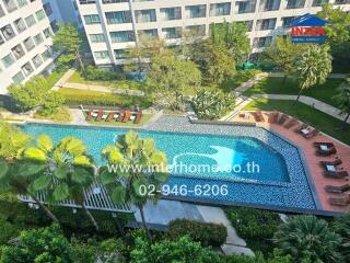 Luxurious pool area with lounging chairs and landscaped garden in a high-end apartment complex