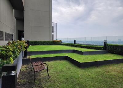 High-rise building rooftop garden with city view