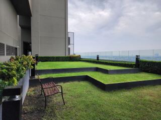 High-rise building rooftop garden with city view