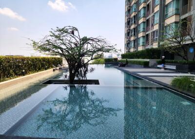 Luxurious outdoor swimming pool with reflective waters surrounded by modern residential buildings