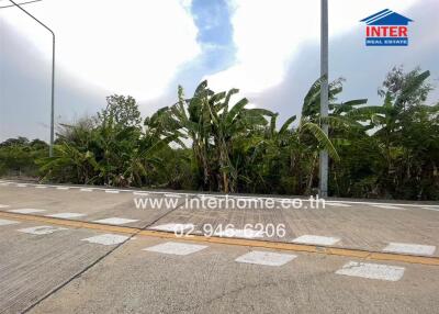 Outdoor view with road and lush greenery