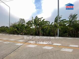 Outdoor view with road and lush greenery