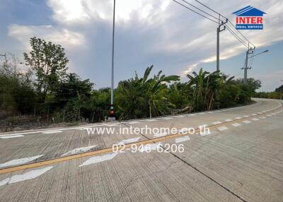 Scenic road with lush greenery in a residential area