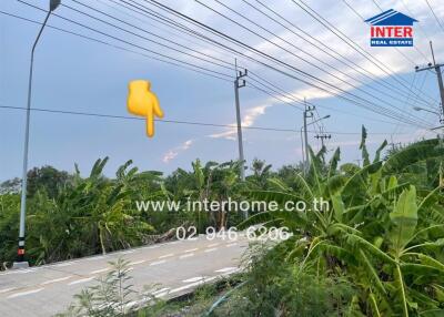 Exterior view near a property showing a road and lush vegetation