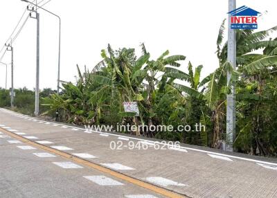 Outdoors view of a property for sale with banana trees and a visible sign