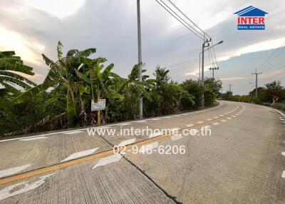 Paved road with tropical plants and real estate sign, leading into a residential area